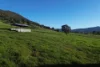Lot 1 Sec  Murray Valley Highway, Bullioh, Vic 3700-Image