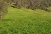 Lot 1 Sec  Murray Valley Highway, Bullioh, Vic 3700-Image