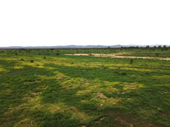 Lot 118C Johnburgh Road, Orroroo, SA 5431