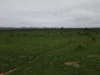 Lot 118C Johnburgh Road, Orroroo, SA 5431-Image