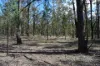 Lot 17 Tin Hut Road, Inglewood, Qld 4387-Image