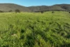 Lot 2/126 Boyes Road, Leneva, Vic 3691-Image