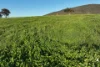 Lot 2/126 Boyes Road, Leneva, Vic 3691-Image