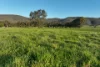Lot 2/126 Boyes Road, Leneva, Vic 3691-Image