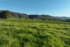 Lot 2/126 Boyes Road, Leneva, Vic 3691-Image