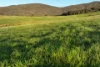 Lot 2/126 Boyes Road, Leneva, Vic 3691-Image
