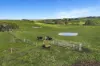 Lot 2, 2270 Loch-Wonthaggi Road, Ryanston, Vic 3992-Image