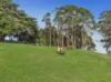 Lot 2, 2270 Loch-Wonthaggi Road, Ryanston, Vic 3992-Image