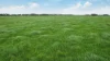 Lot 2 Coyles Road, Terang, Vic 3264-Image