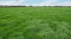 Lot 2 Coyles Road, Terang, Vic 3264-Image