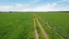 Lot 2 Coyles Road, Terang, Vic 3264-Image