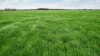 Lot 2 Coyles Road, Terang, Vic 3264-Image