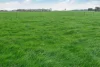 Lot 2 Coyles Road, Terang, Vic 3264-Image