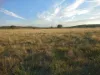 Lot 27 Walsh's Road, Dalton, NSW 2581