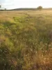 Lot 27 Walsh's Road, Dalton, NSW 2581-Image