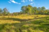 Lot 6 Eel Creek Road, Langshaw, Qld 4570-Image