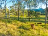 Lot 6 Eel Creek Road, Langshaw, Qld 4570-Image