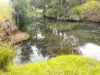 Lot 690, McCafferty Road, Merritts Creek, Qld 4352