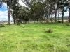 Lot 690, McCafferty Road, Merritts Creek, Qld 4352-Image