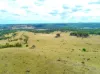 Lot 690, McCafferty Road, Merritts Creek, Qld 4352-Image