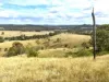 Lot 690, McCafferty Road, Merritts Creek, Qld 4352-Image