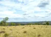 Lot 690, McCafferty Road, Merritts Creek, Qld 4352-Image
