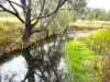 Lot 690, McCafferty Road, Merritts Creek, Qld 4352-Image