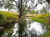 Lot 690, McCafferty Road, Merritts Creek, Qld 4352-Image