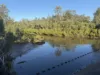 Lot 95 Woodgate Road, Woodgate, Qld 4660-Image