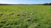 Lovetts Lane, Heywood, Vic 3304-Image