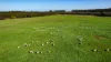 Lovetts Lane, Heywood, Vic 3304-Image