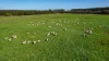 Lovetts Lane, Heywood, Vic 3304-Image