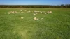 Lovetts Lane, Heywood, Vic 3304-Image