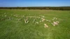 Lovetts Lane, Heywood, Vic 3304-Image