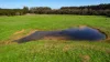 Lovetts Lane, Heywood, Vic 3304-Image