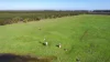 Lovetts Lane, Heywood, Vic 3304-Image