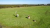 Lovetts Lane, Heywood, Vic 3304-Image