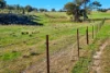 Messines, 1210 MacIntyre Road, Barraba, NSW 2347-Image