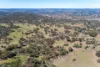 Messines, 1210 MacIntyre Road, Barraba, NSW 2347-Image