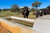 Messines, 1210 MacIntyre Road, Barraba, NSW 2347-Image