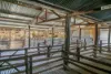 Mt Freeling Station Talc Mine Road, LYNDHURST SA 5731-Image
