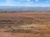 Mt Freeling Station Talc Mine Road, LYNDHURST SA 5731-Image