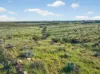 Mt Freeling Station Talc Mine Road, LYNDHURST SA 5731-Image