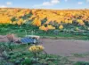 Mt Freeling Station Talc Mine Road, LYNDHURST SA 5731-Image