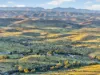 Mt Freeling Station Talc Mine Road, LYNDHURST SA 5731-Image