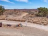 Mt Freeling Station Talc Mine Road, LYNDHURST SA 5731-Image