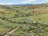 Mt Freeling Station Talc Mine Road, LYNDHURST SA 5731-Image