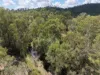 "Mustons" Frawleys Road, Thangool, Qld 4716-Image