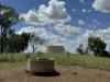 "Mustons" Frawleys Road, Thangool, Qld 4716-Image
