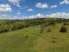 "Mustons" Frawleys Road, Thangool, Qld 4716-Image